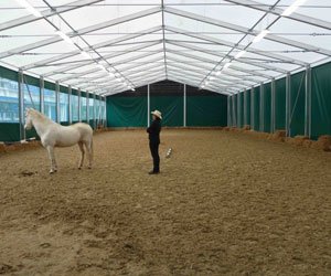 Industrial Tent 27 Equestrian